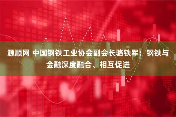 源顺网 中国钢铁工业协会副会长骆铁军：钢铁与金融深度融合、相互促进
