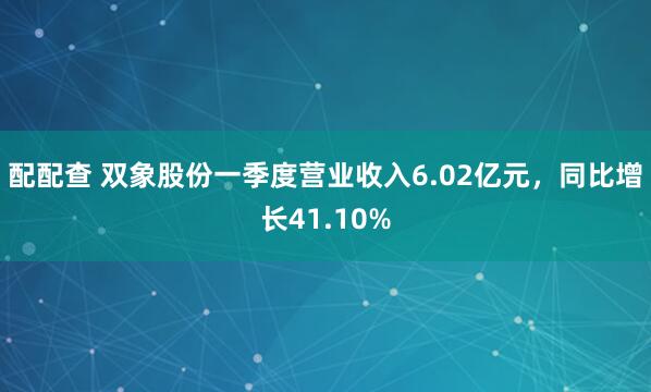 配配查 双象股份一季度营业收入6.02亿元，同比增长41.10%