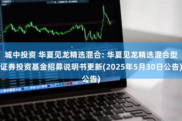城中投资 华夏见龙精选混合: 华夏见龙精选混合型证券投资基金招募说明书更新(2025年5月30日公告)
