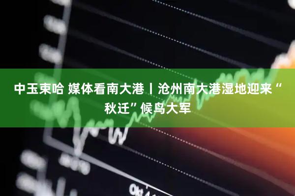 中玉束哈 媒体看南大港丨沧州南大港湿地迎来“秋迁”候鸟大军
