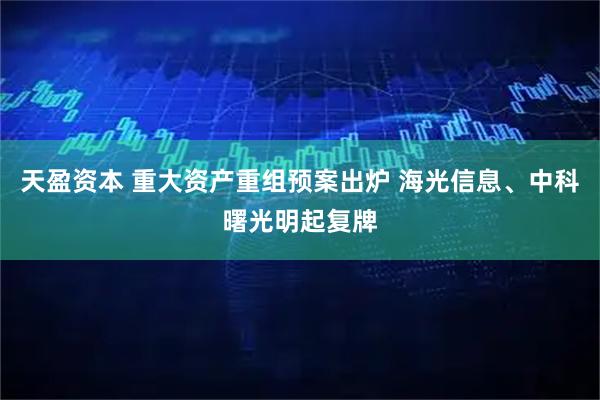 天盈资本 重大资产重组预案出炉 海光信息、中科曙光明起复牌